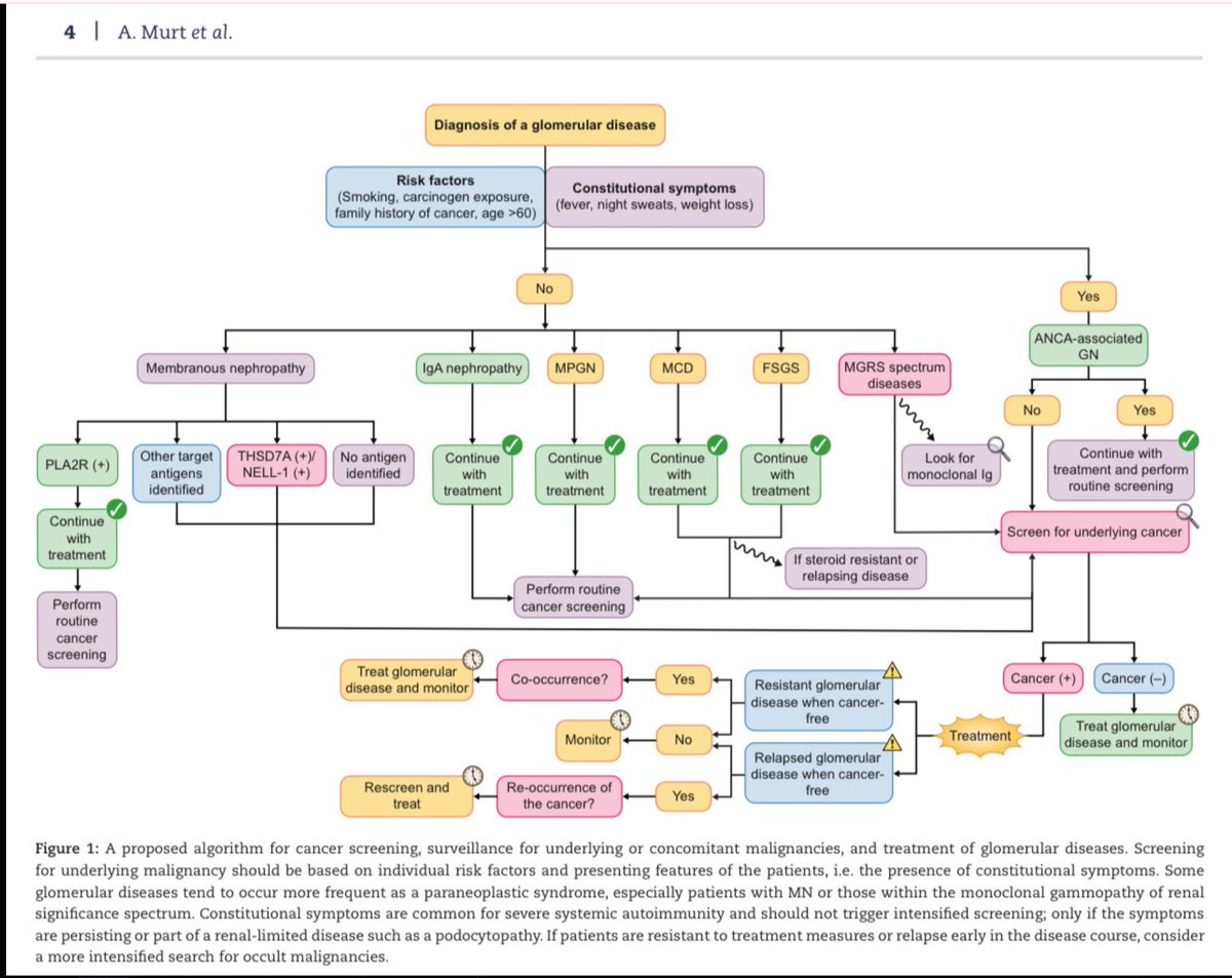 ISN Education (@isneducation) on Twitter photo 12/n #ECNeph <a href="/ISNkidneycare/">Int Society of Nephrology</a> <a href="/myadla/">manjusha yadla</a> <a href="/Dilushiwijay/">Dilushi Wijayaratne</a> <a href="/shubharthikar/">Shubharthi Kar, MD, FISN</a>
A recent #CKJ publication : evaluation for routine cancer screening in PLA2R +ve PMN
Check this infographic
Our Pt : No weight loss , Xray : WNL , PSA : WNL USG abdomen : WNL
PLA2R negative 12/n #ECNeph <a href="/ISNkidneycare/">Int Society of Nephrology</a> <a href="/myadla/">manjusha yadla</a> <a href="/Dilushiwijay/">Dilushi Wijayaratne</a> <a href="/shubharthikar/">Shubharthi Kar, MD, FISN</a>
A recent #CKJ publication : evaluation for routine cancer screening in PLA2R +ve PMN
Check this infographic
Our Pt : No weight loss , Xray : WNL , PSA : WNL USG abdomen : WNL
PLA2R negative