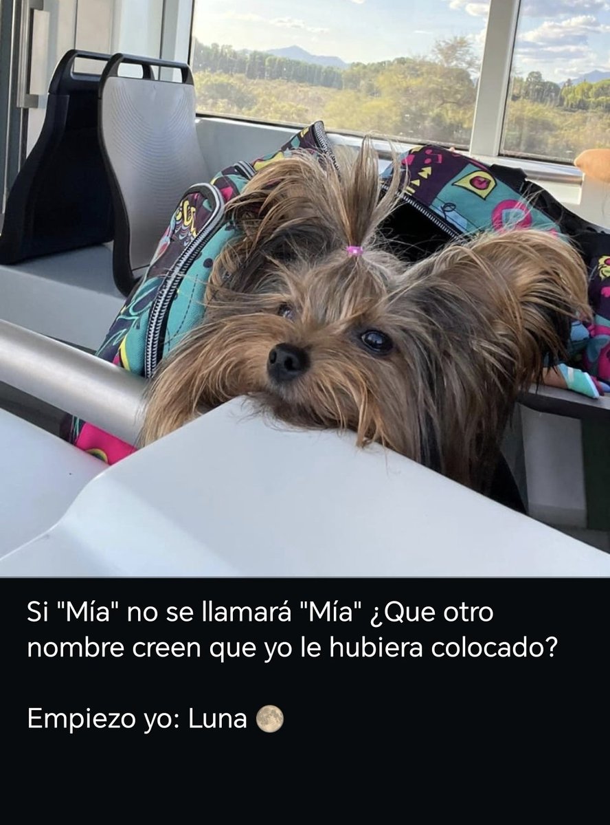 MauroLandaeta's tweet image. #PreguntasRandom
Si #Mia no se llamara &quot;Mía,
¿Que otro nombre creen que yo le hubiera colocado?

Yo: Luna