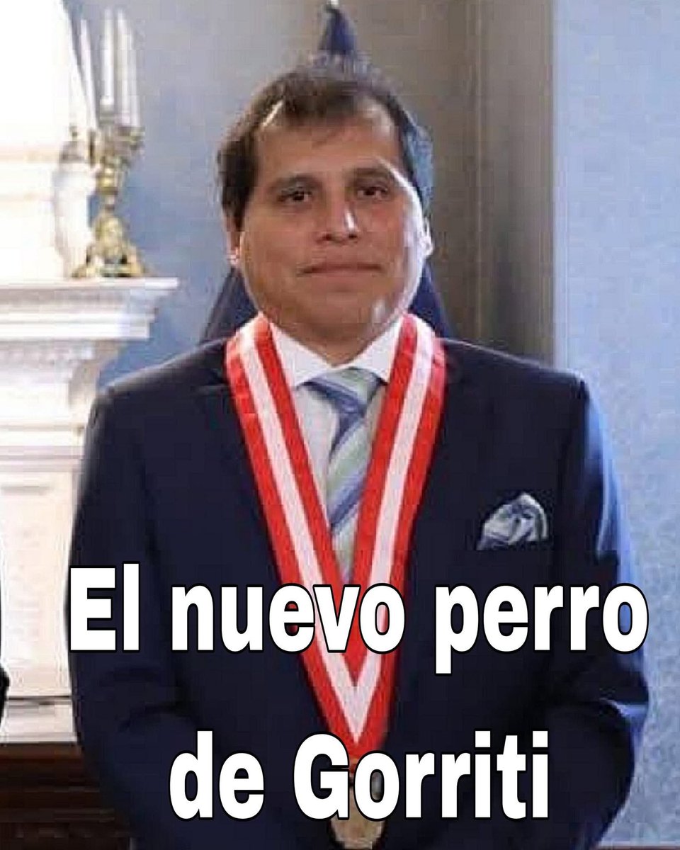 panch_pe's tweet photo. No sabía que el Poder Judicial era pet friendly. https://t.co/EIuh4CE6ED