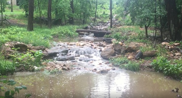 foresthillsnews's tweet image. Opinion: DC’s environmental agency faces “destructive” budget cuts
foresthillsconnection.com/news/opinion-d…