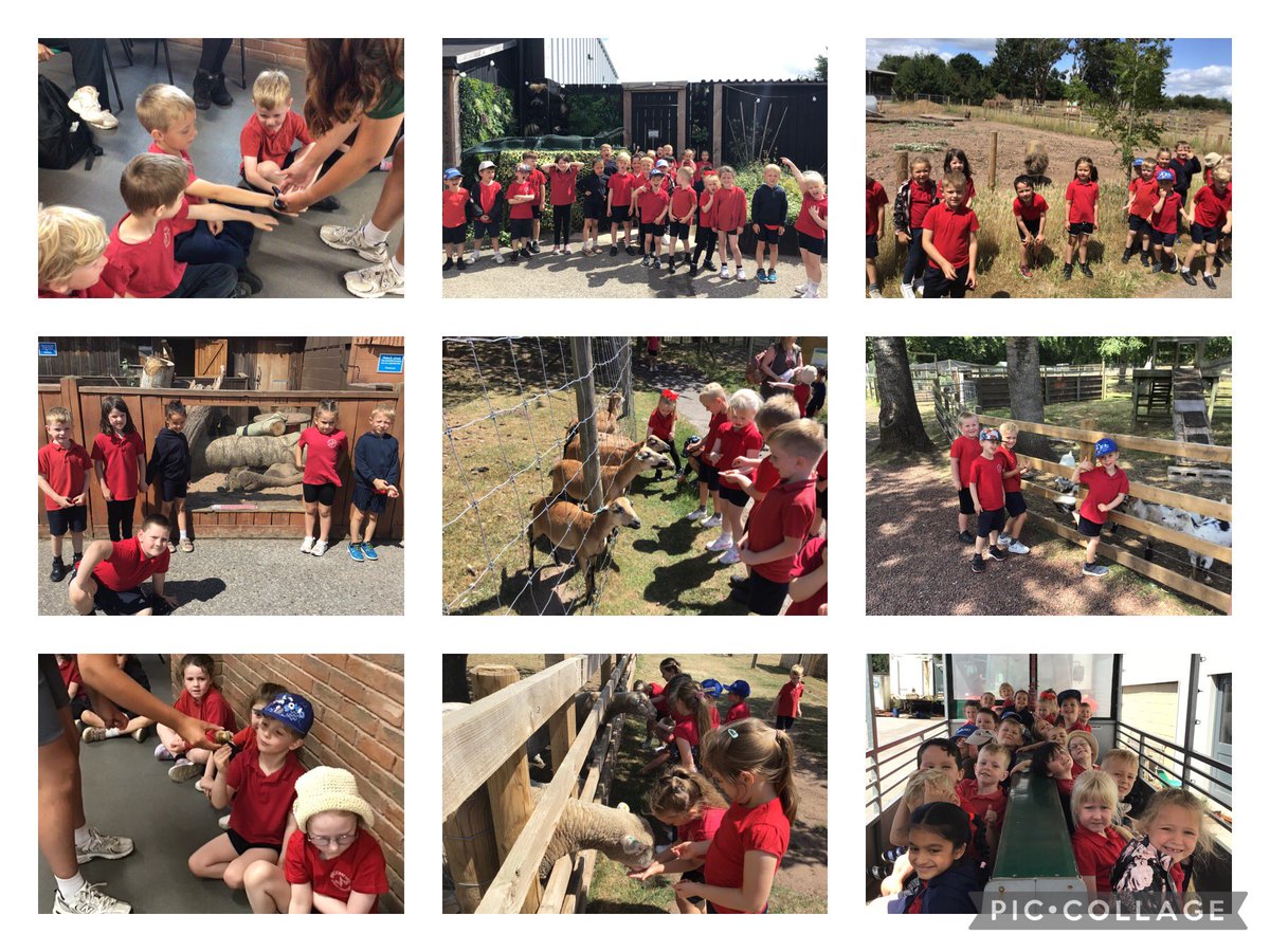 Broomfield Primary School tweet media