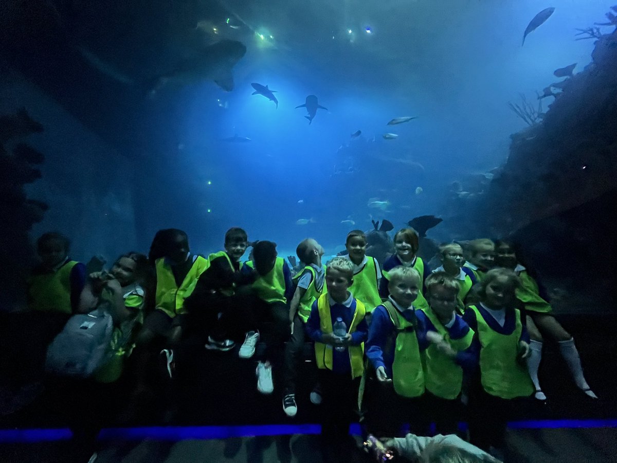 MissSethi00's tweet photo. Year one had a lovely trip to The Deep 🦈 https://t.co/F5uYetD58Y