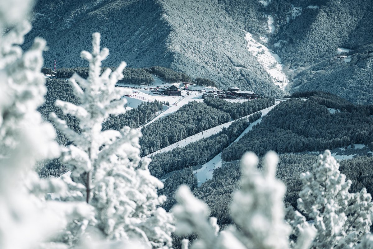 Últims dies per adquirir els forfets Andorra Pass i Nord Pass 2025-2026 a preu reduït.
L’Early Booking finalitza dilluns 30 de juny.
Anticipar-se permet accedir a millors condicions per a la temporada vinent.

Més info: palarinsal.com/ca/estacio/not…