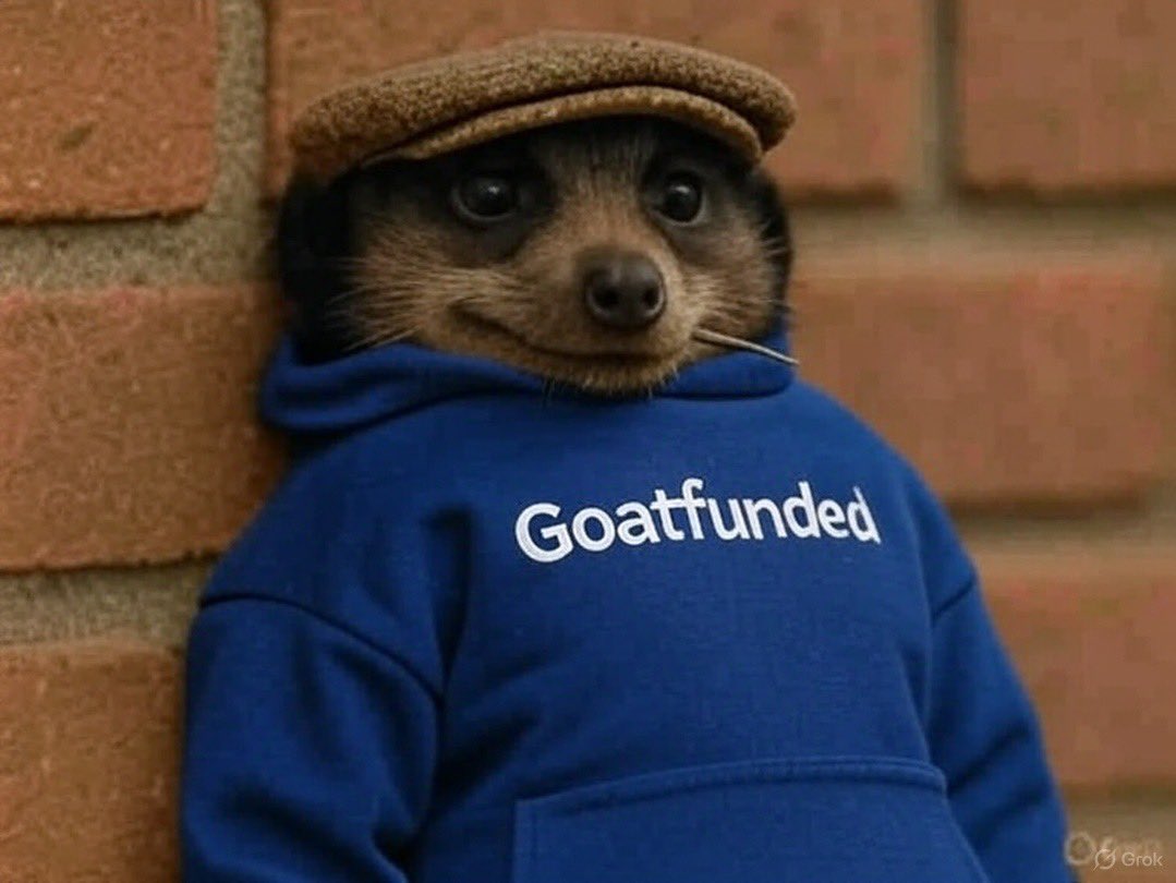 Godfather (🦧🦧) tweet media