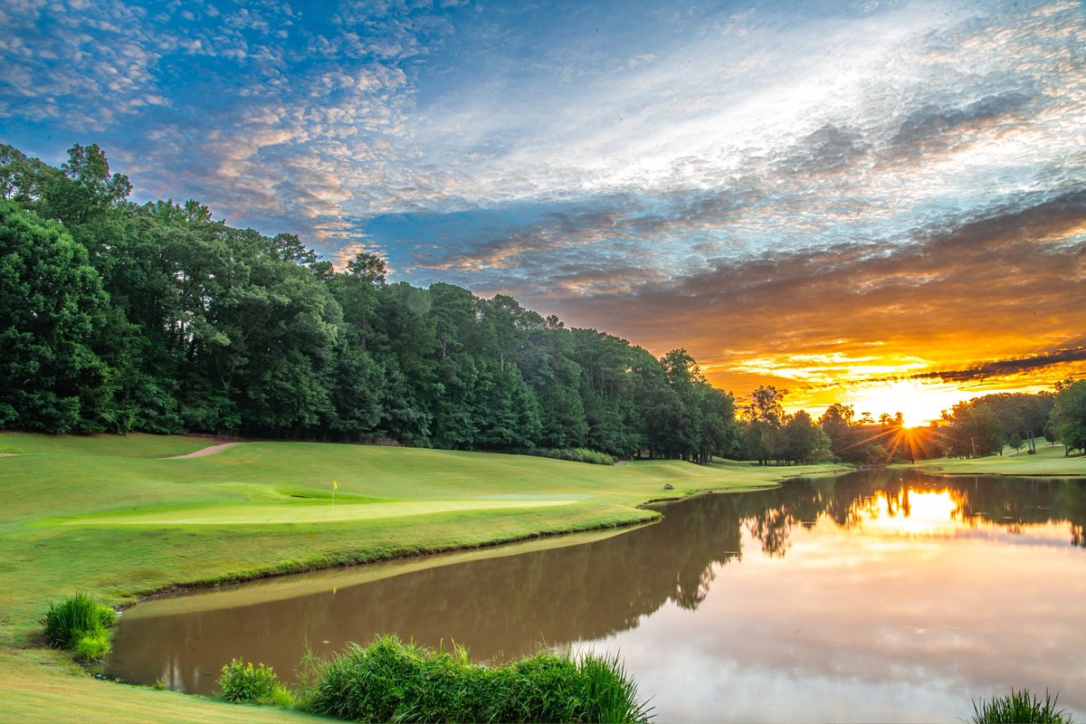 Cameron Lilly tweet media