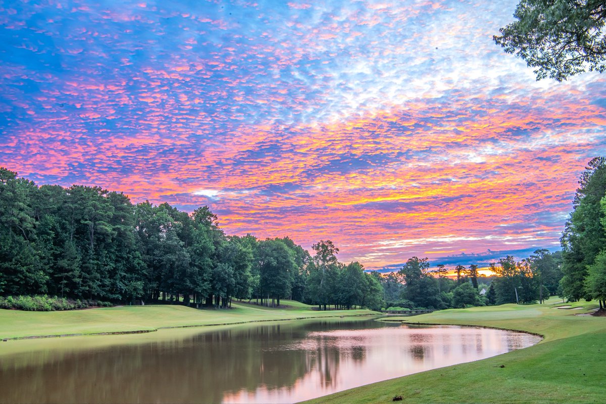 Cameron Lilly tweet media