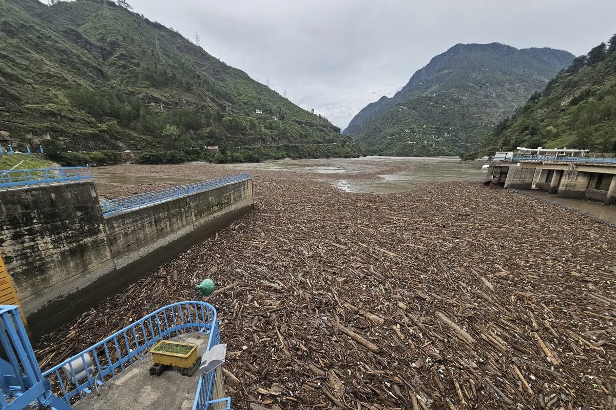 What you are seeing is the Pandoh Dam (Mandi,HP) lake completely clogged with wood. The entire reservoir is stuffed. And for those blindly calling it natural wood brought by water just look at the scale. This much loose wood and full trees don’t come down just by a single rain.