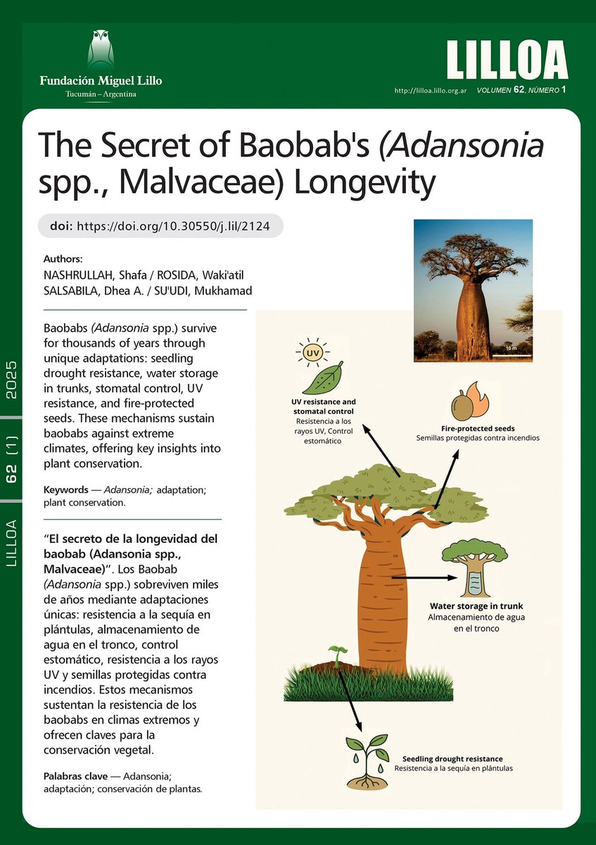 LILLOA:

“El Secreto de la Longevidad del Baobab (Adansonia spp., Malvaceae)”, de Shafa Nashrullah, Waki'atil Rosida, Dhea Athariqa Salsabila, Mukhamad Su'udi: 

lillo.org.ar/.../ind.../lil…