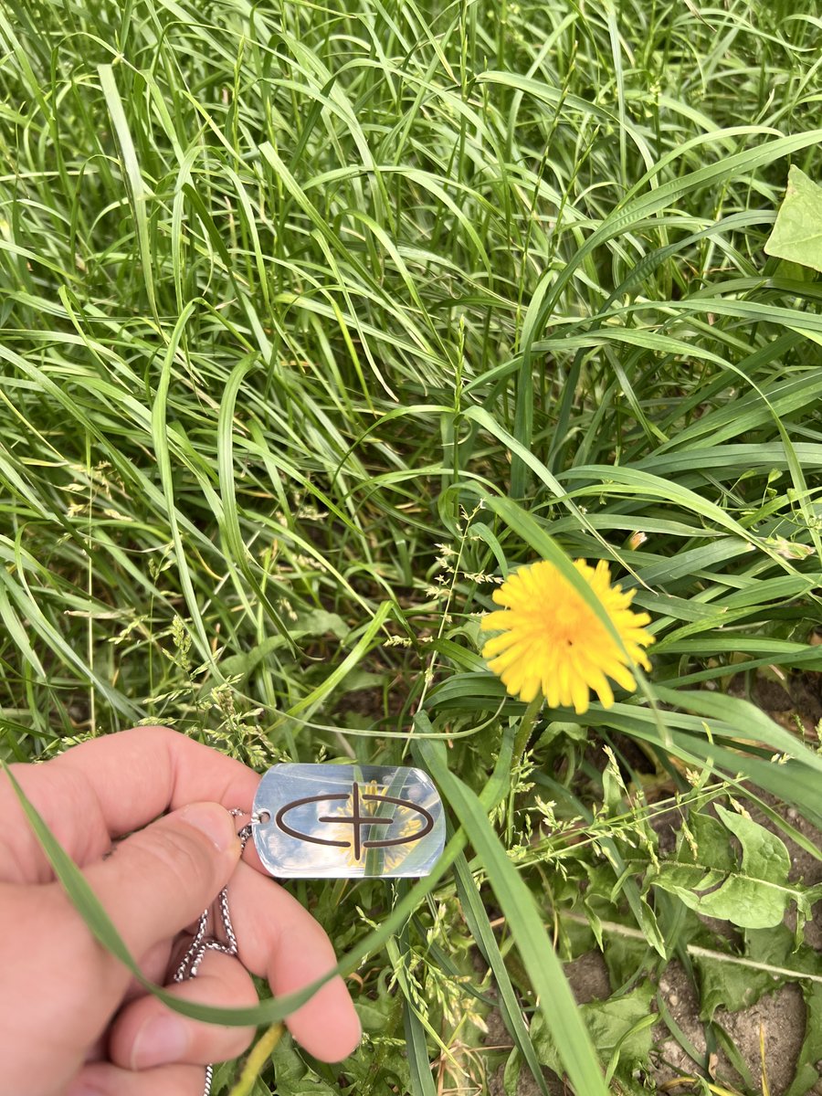 Touching grass
but the signal’s still strong.

No matter how far from the screen
<a href="/sophon/">sophon</a> stays close.
(((+)))