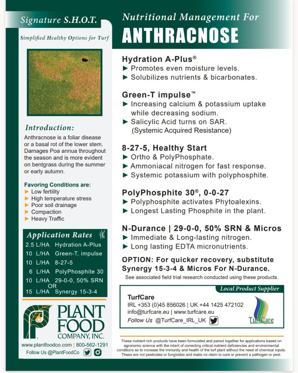 TurfCare (@turfcare_irl_uk) on Twitter photo <a href="/PlantFoodCo/">Plant Food Company</a> Anthracnose is a destructive turfgrass disease,especially in Poa annua. It appears as basal rot or foliar blight, thriving under low N, compaction, heat stress.Integrated management: optimise proper fertility and reduce stress in a preventive approach. #TurfCare3PA <a href="/PlantFoodCo/">Plant Food Company</a> <a href="/PlantFoodCo/">Plant Food Company</a> Anthracnose is a destructive turfgrass disease,especially in Poa annua. It appears as basal rot or foliar blight, thriving under low N, compaction, heat stress.Integrated management: optimise proper fertility and reduce stress in a preventive approach. #TurfCare3PA <a href="/PlantFoodCo/">Plant Food Company</a>