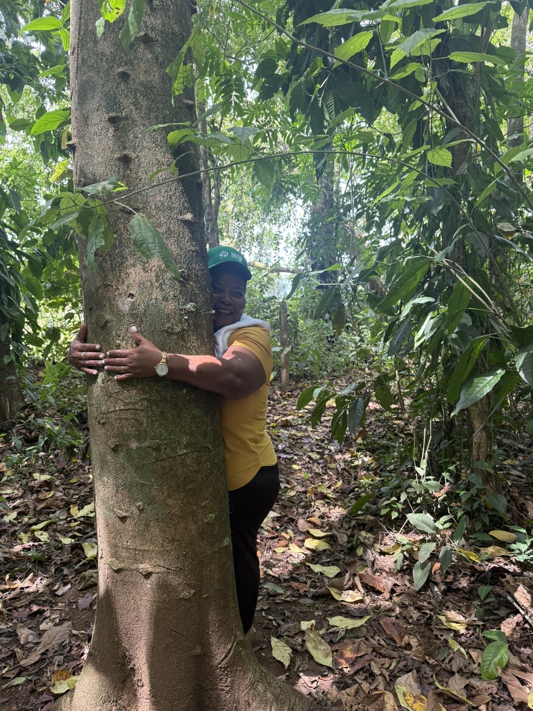 🔸Dos escuelas de campo para mujeres rurales, organizadas por el Proyecto REDD+ Pagos Basados en Resultados, llevaron a dos grupos de #mujeres lideresas de proyectos agropecuarios, agroforestales y forestales a visitar fincas para fortalecer y potenciar sus conocimientos en