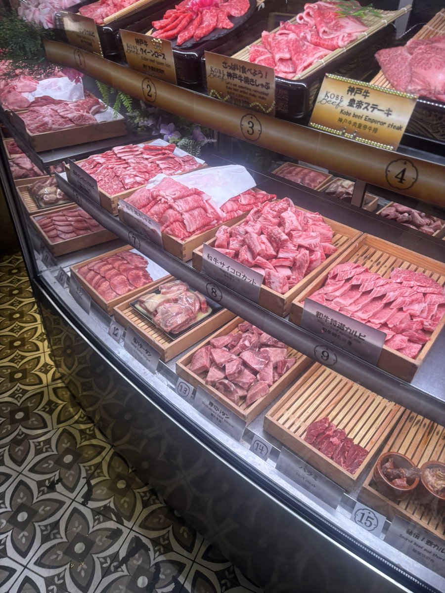 Food 4: Nikuya Yokocho Udagawacho
All you can eat and drink, 7300¥

We had to cook ourselves, but we enjoyed food and some good old mtg stories

7.5/10, it was wagyu, but far from the highest grade and you are limited by time