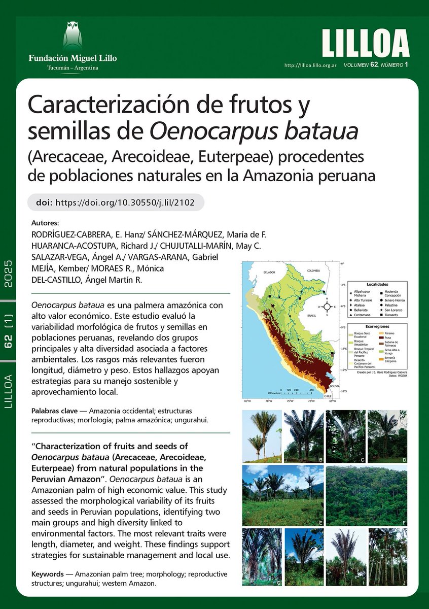 LILLOA: 

“Caracterización de frutos y semillas de Oenocarpus bataua (Arecaceae, Arecoideae, Euterpeae) procedentes de poblaciones naturales en la Amazonia peruana”, de E. Hanz Rodríguez-Cabrera et al: 

lillo.org.ar/.../ind.../lil…