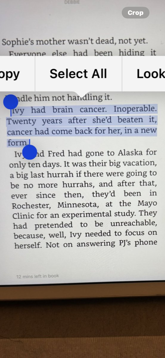 Debbie McNeil tweet media