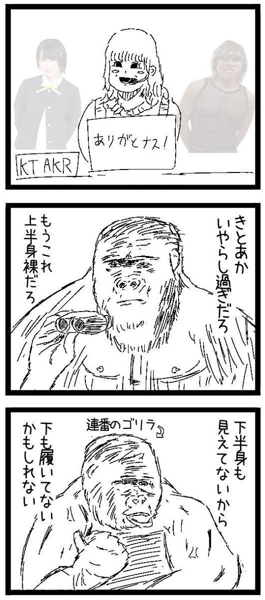 連番のゴリラ 再放送 