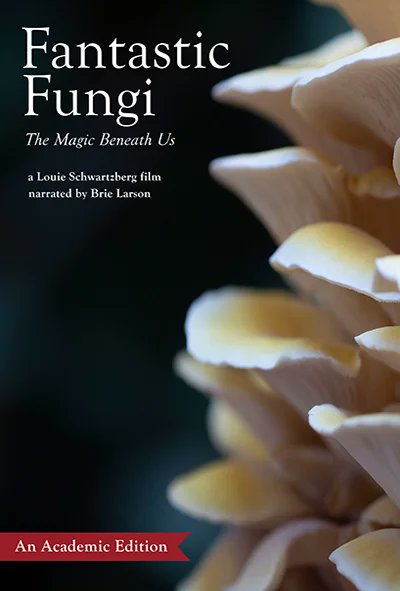 Film Platform 🎬 📚 🎓 tweet media