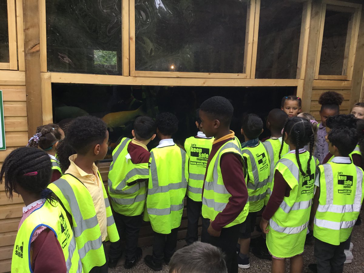 oratory_rc's tweet image. The children in Year 2 had a wonderful time at @BhamBotanicalGd. They had a great learning experience which linked to their Science topic, Plants #OPSScience @BCPP__