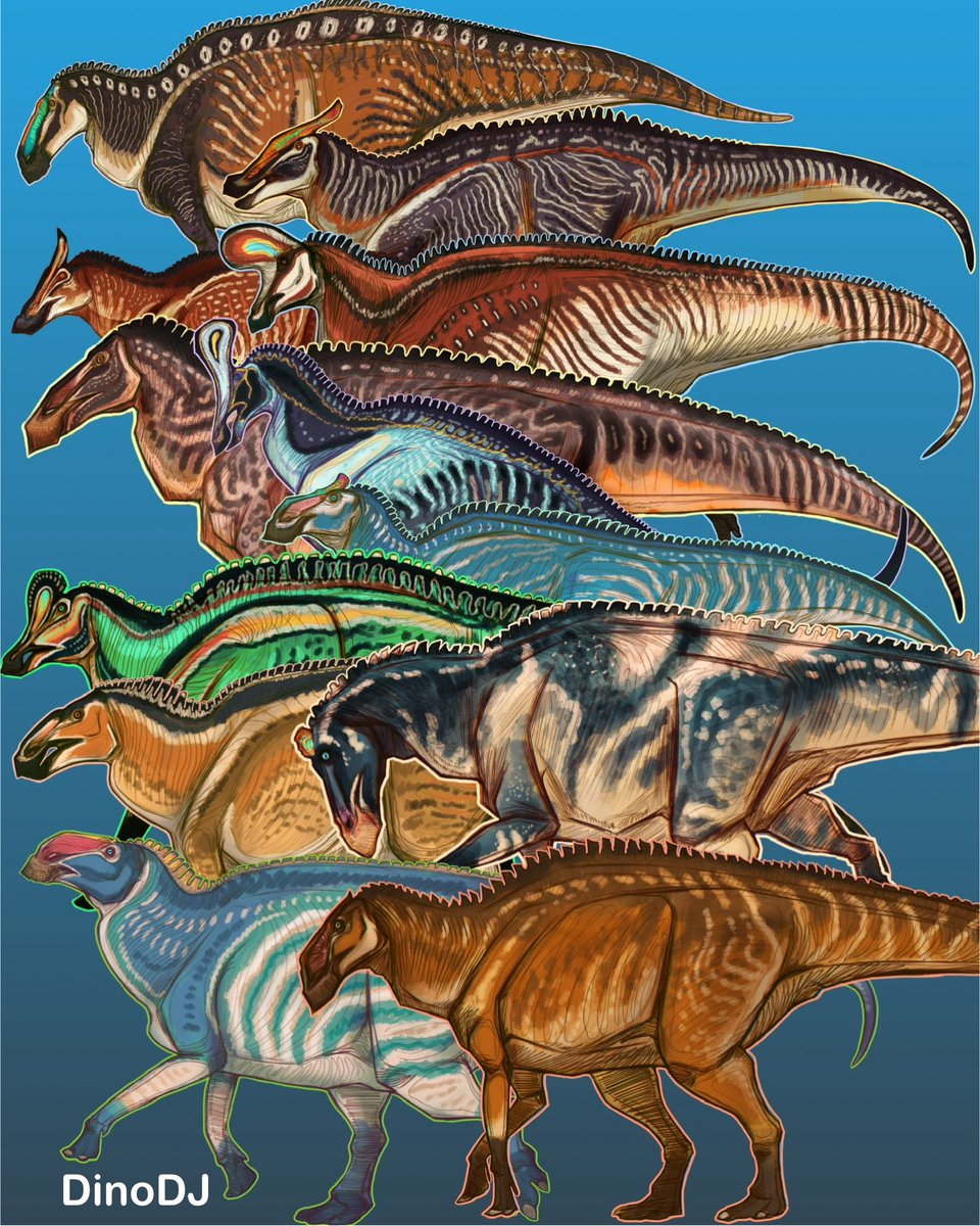 DinoDJ14's tweet image. โHow many Hadrosaurs are you gonna draw?โ
Yes.