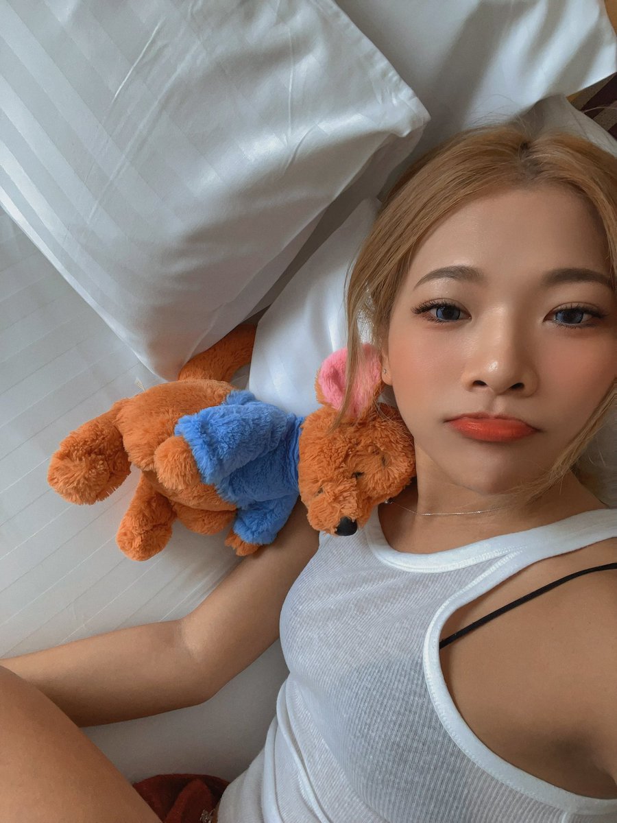 Doshide's tweet photo. who wants cuddling?❤️ https://t.co/9WXd6aPd6b