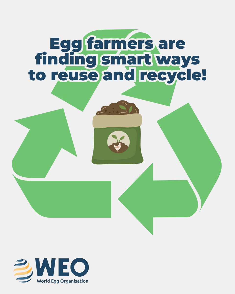 Manure from egg farms is now being used in new ways, like making fertiliser, creating energy, and helping reduce waste. It’s all part of building a more sustainable future. 🌱⚡♻️

#SustainableEggs #PlanetFriendlyProtein #NaturallySustainableEggs