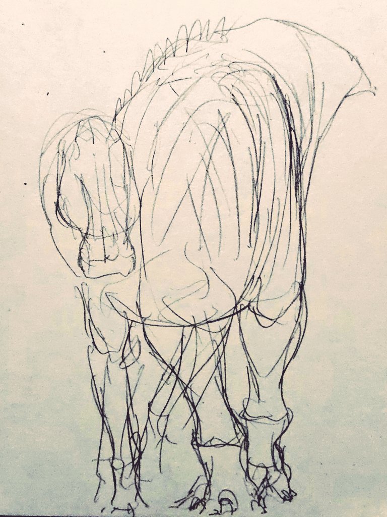 yamamotoyama555's tweet image. (　・ω・)