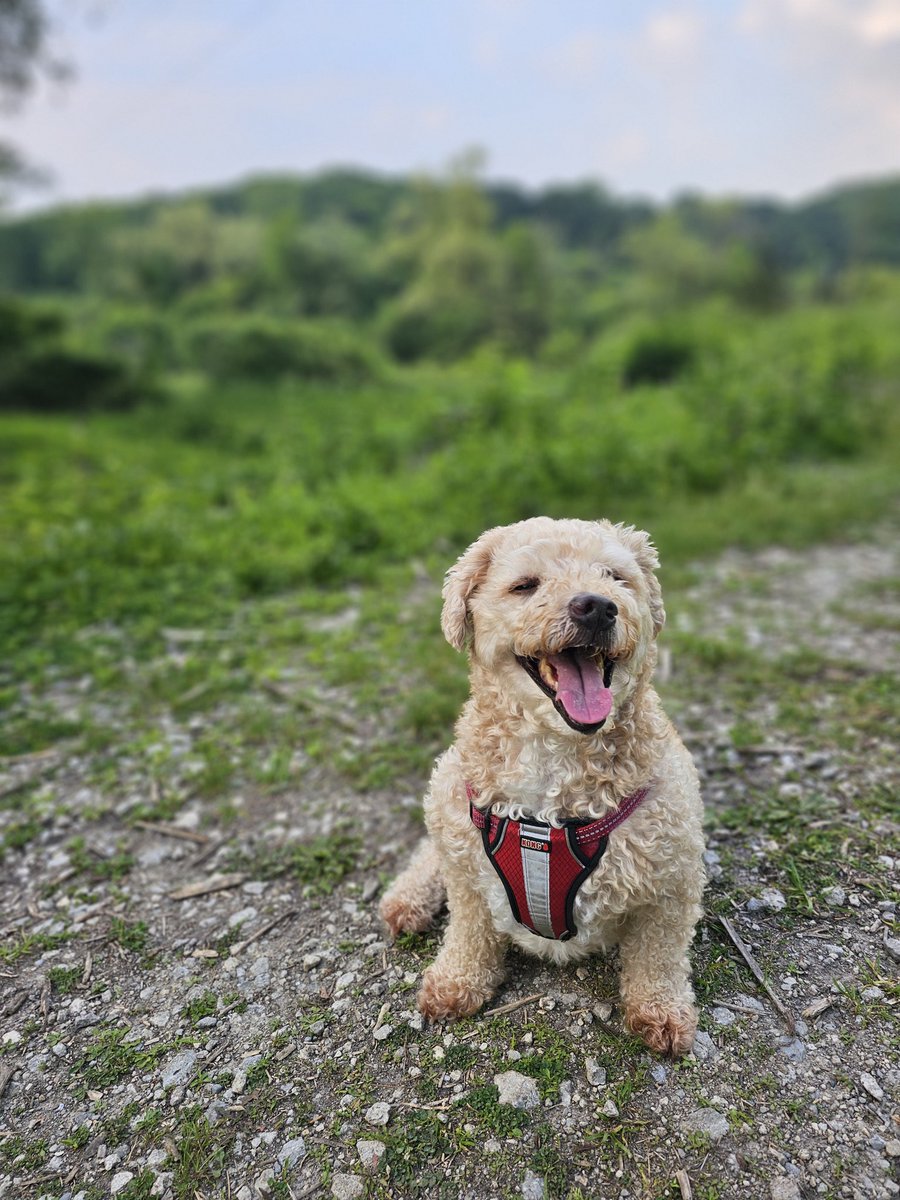 Taking in the moment :)
#Ace