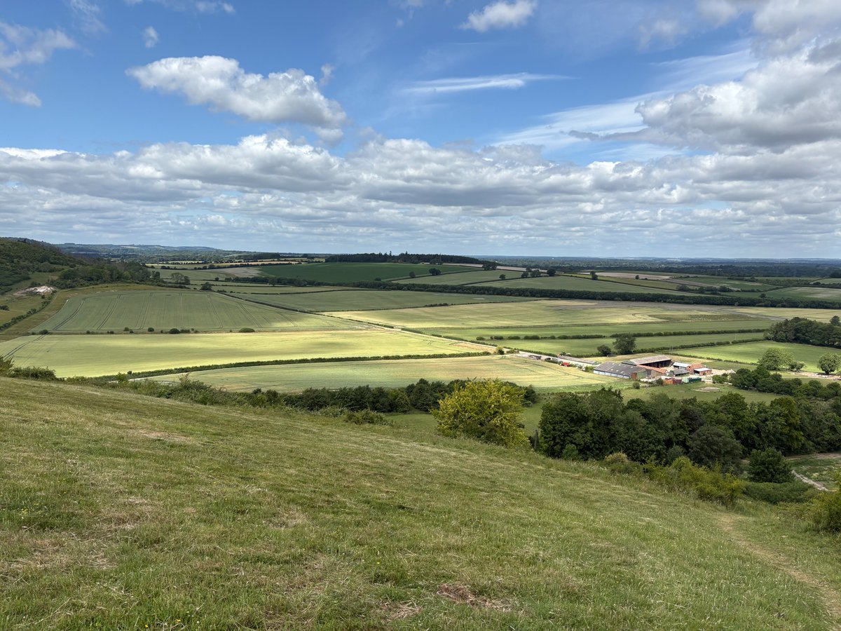 Samuel Cody School tweet media