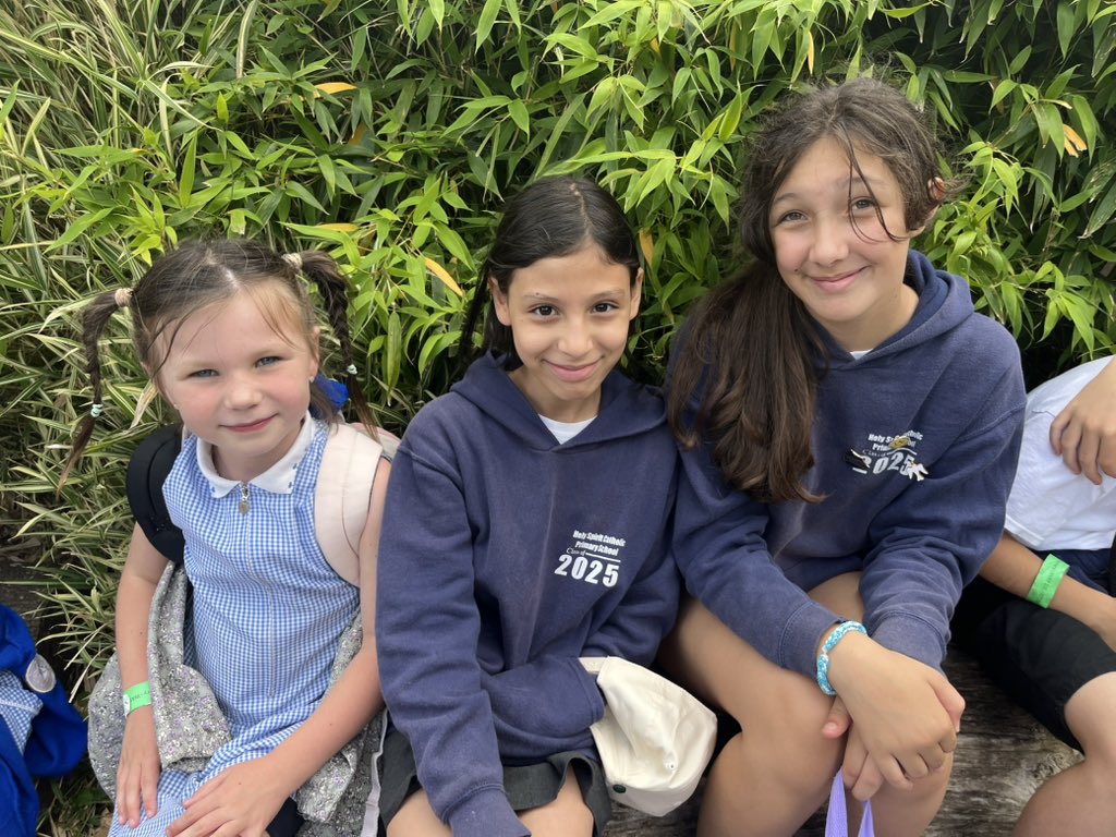 Holy Spirit Catholic Primary tweet media