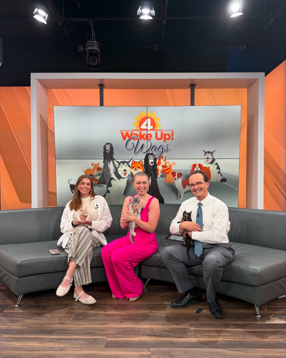 Did you catch the Ten Lives Club Meowfia litter on <a href="/news4buffalo/">News 4 Buffalo</a> Wake Up Wags this morning? Josh Allen, Tyler Bass and Ryan Bass will be ready to be adopted soon! Email kimberlylarussa@tenlivesclub.com if interested in adopting and we will set you up with their foster dad Tim!