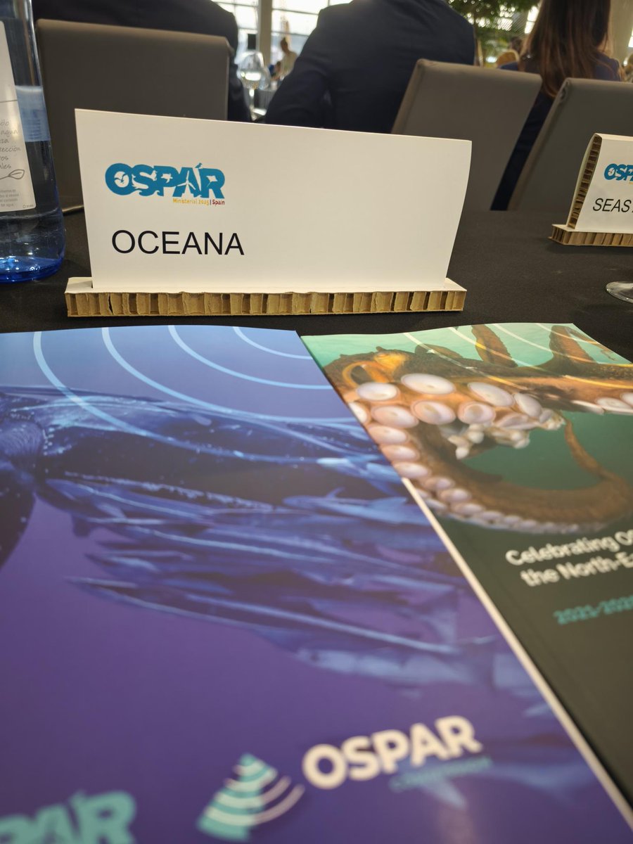 At today's Convention for the Protection of the Marine Environment of the North-East Atlantic ministerial meeting in Vigo, we welcomed the inclusion of the Canary Islands &amp; Madeira in the <a href="/osparcomm/">OSPAR</a>, but called for stronger management of its marine protected areas. #OSPARMM2025