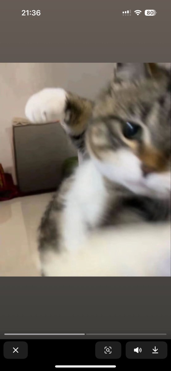 谜のNONO🔶 🐼🐼｜.ZK tweet media