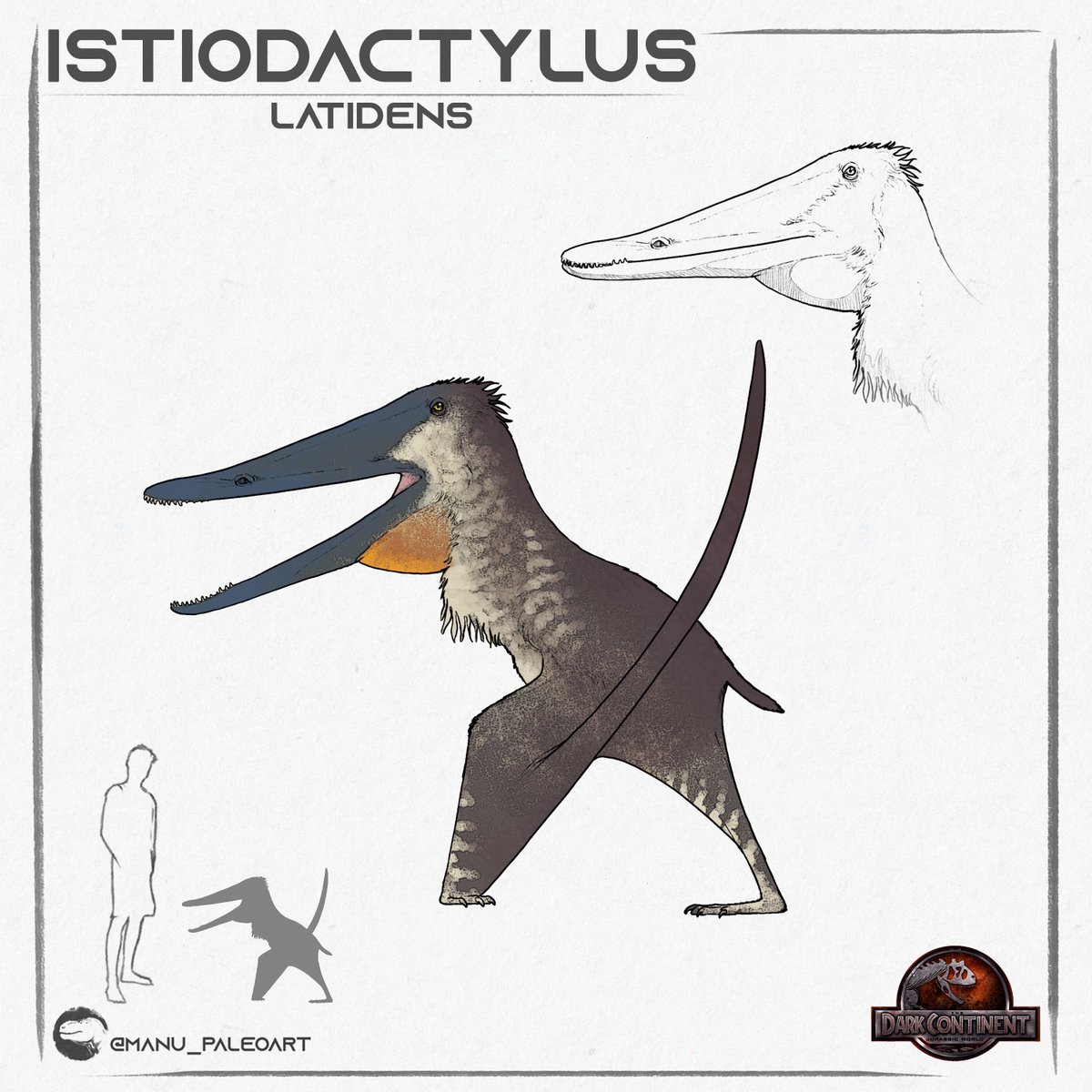 Jurassic_World_Fandom (@brycenator100) on Twitter photo 🚨Check Out The Stylized Design For The Istiodactylus In My Novel: The Dark Continent 🚨
•
Commissioned By: <a href="/MDinoart/">Manu_Paleoart</a> 🚨Check Out The Stylized Design For The Istiodactylus In My Novel: The Dark Continent 🚨
•
Commissioned By: <a href="/MDinoart/">Manu_Paleoart</a>