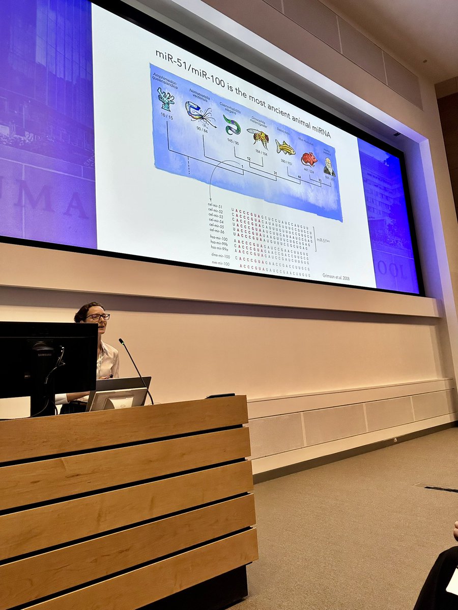 Luisa Cochella @lcochella discussing Conserved roles of miRNAs in development. miR-51/miR-100 is the most ancient animal microRNA! 🪸🪱🪰🐠🐭🧍‍♀️#RNATx2025