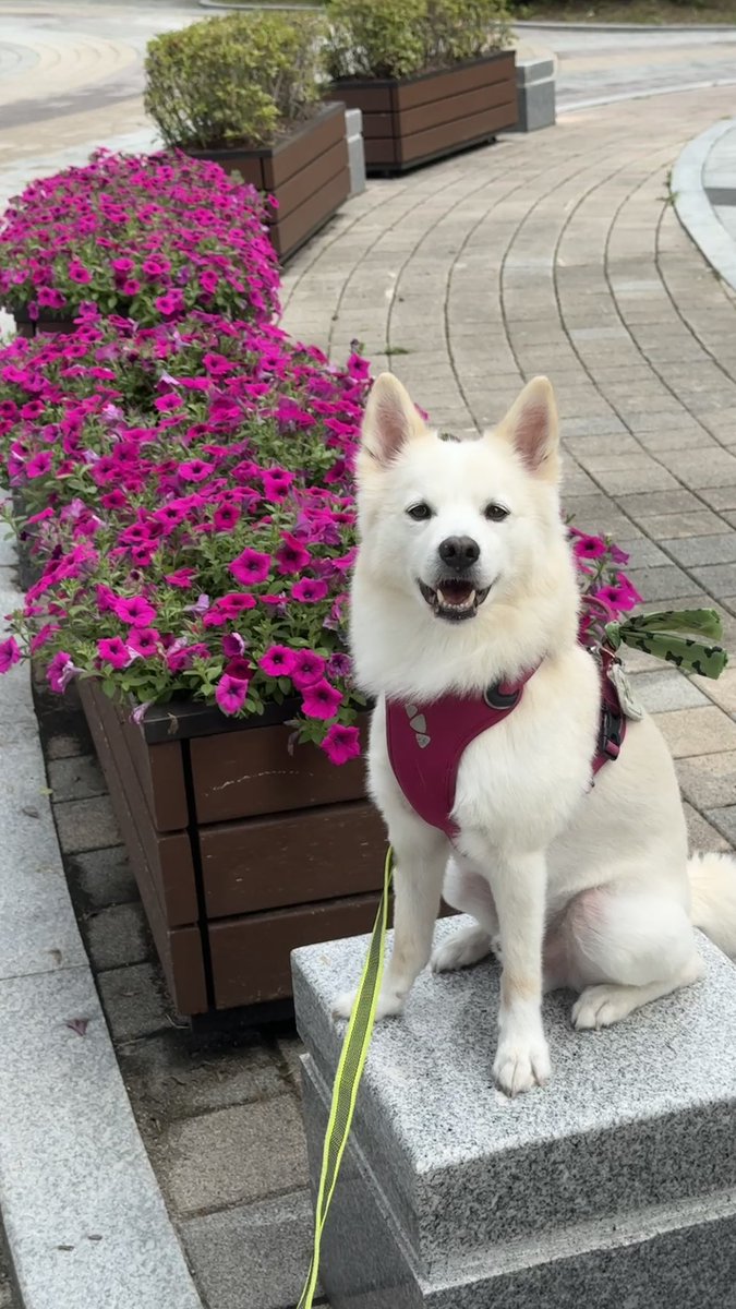 자 이제 누가 꽃이지 ?