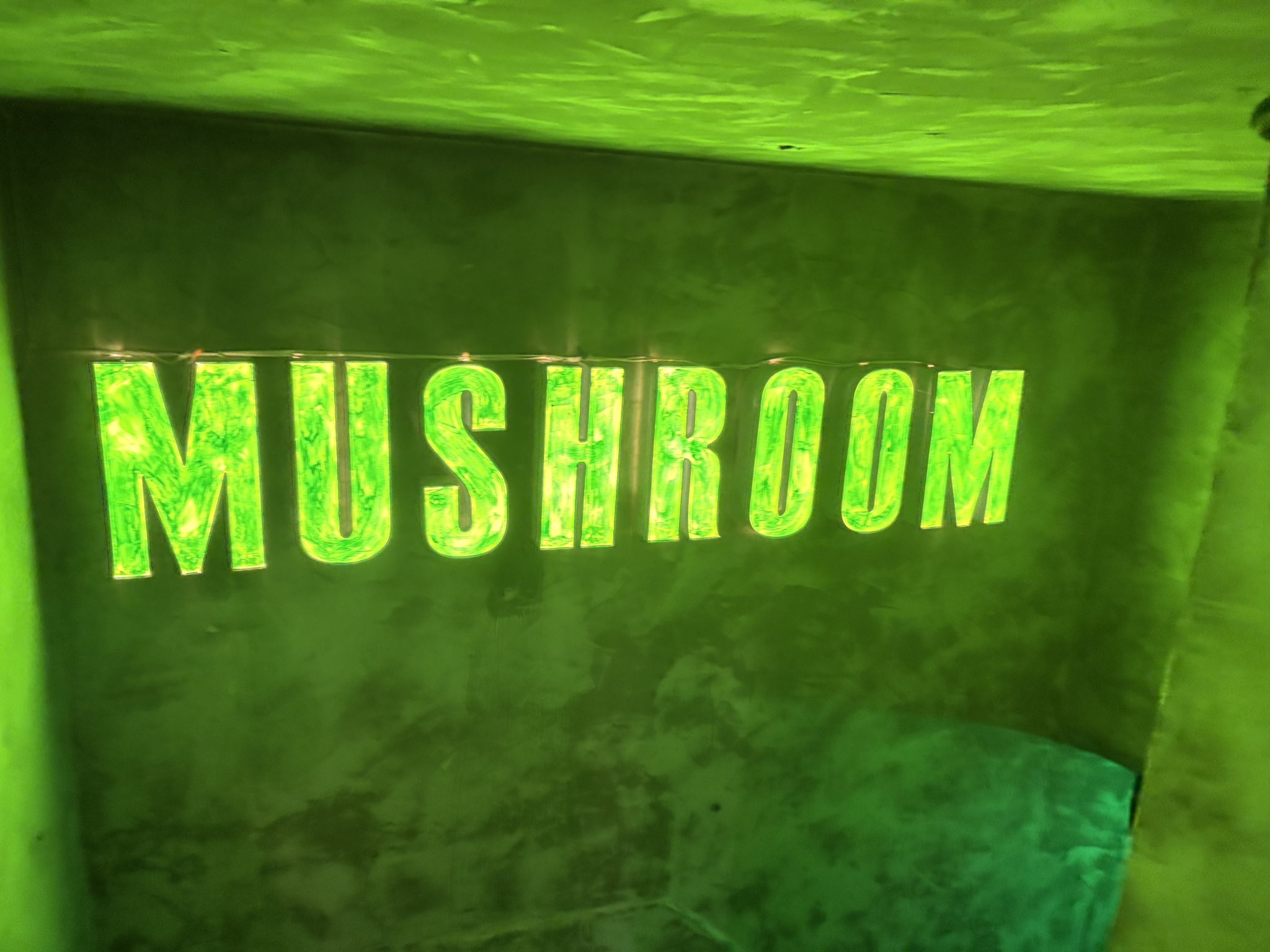 YuY_K0 (ゆうこ) @6/26 Mushroom (@6bscur3) / X