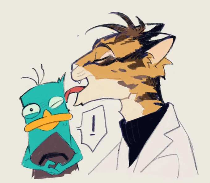 #perryshmirtz OCELOTS!!!