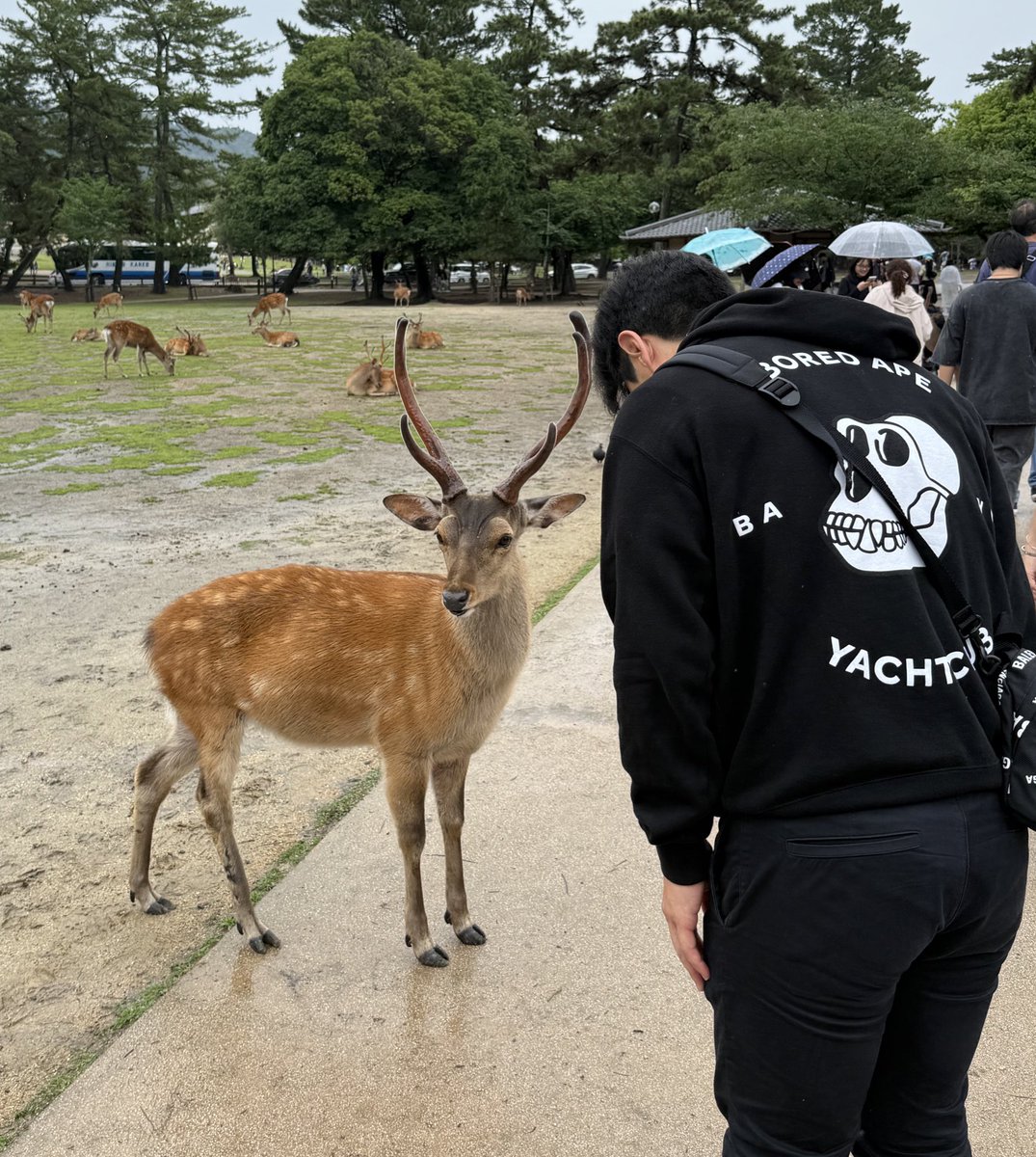 Dragonseller.eth 🍌 tweet media