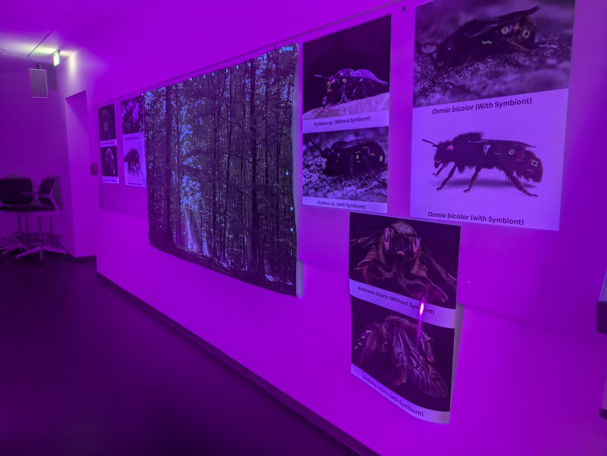 Lange Nacht der Wissenschaften in Leipzig - es war uns ein Fest! Mit über 400 Besucherinnen und Besuchern war #iDiv den ganzen Abend gut besucht und iDiv-Forschenden wurden Löcher in den Bauch gefragt. Wir freuen uns schon jetzt auf's nächste Mal!

(Save the date: Die Lange Nacht