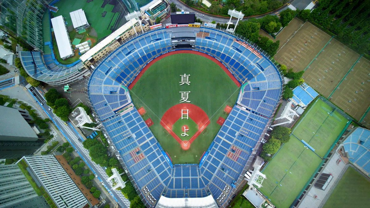 夏の甲子園の東東京・西東京大会の広告と言われても
全く違和感が無い。