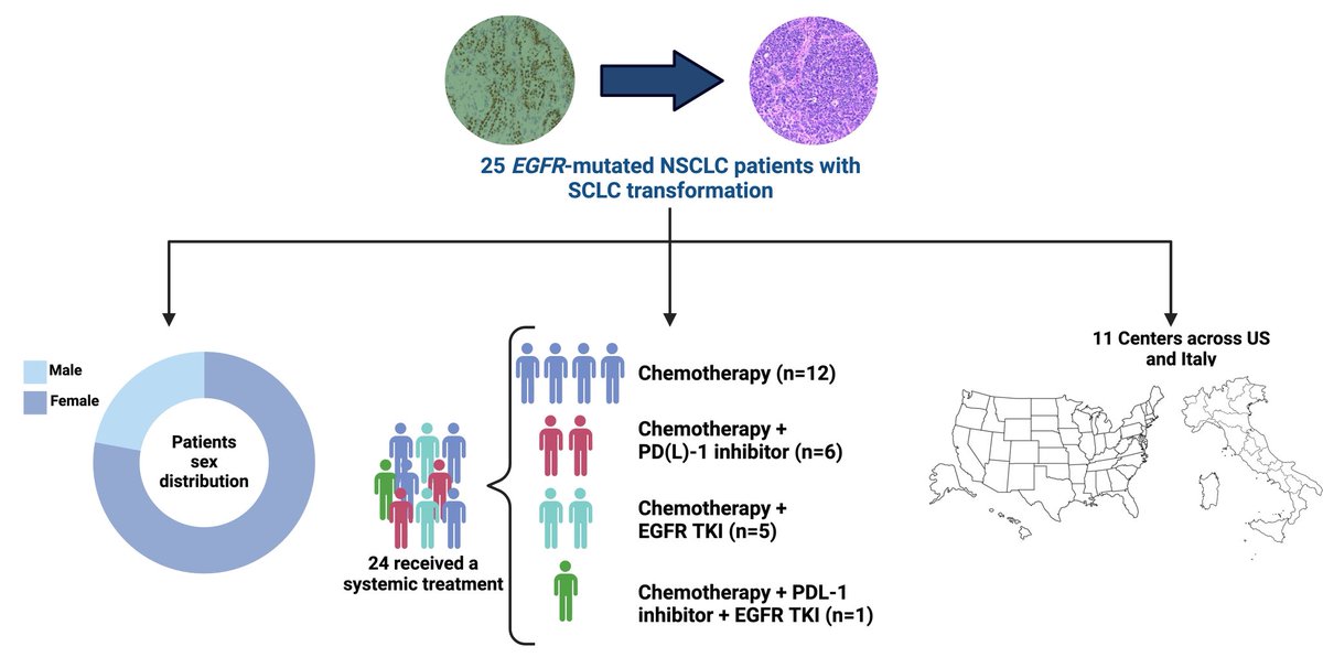 Congrats to my friend <a href="/ChiaraCATANIA4/">Chiara CATANIA</a> for leading  this multicenter international study on SCLC transformation in EGFRm NSCLCs with AR to EGFR TKI, shedding the light on a largely understudied issue. <a href="/ESMO_Open/">ESMO Open</a> 
esmoopen.com/article/S2059-…