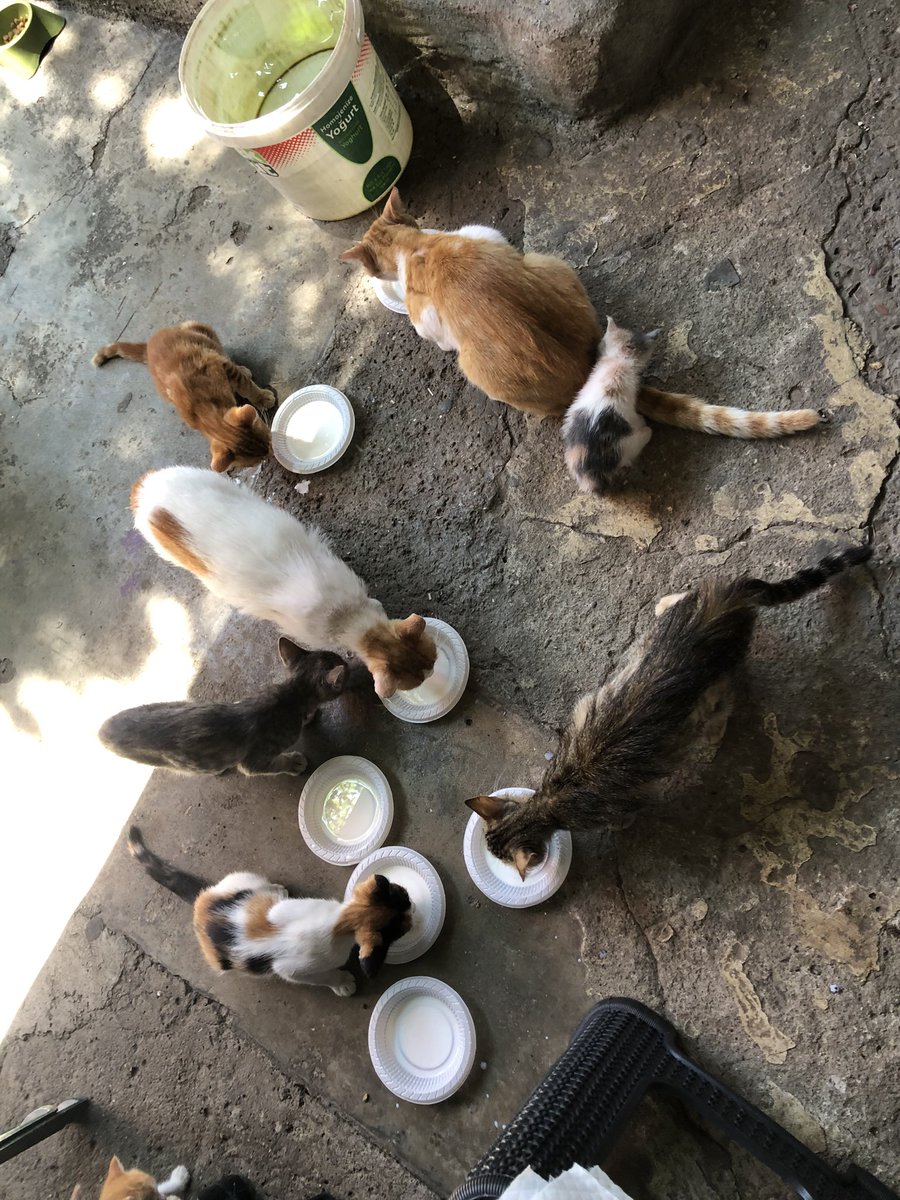 Anneler ve kızları 🥹 <a href="/sedat_peker/">Sedat Peker</a> Sedat abi bizi de görür müsün acaba?