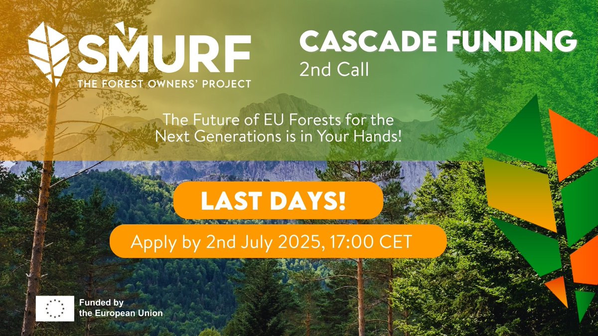 smurfproject's tweet photo. 🚨 Last days to apply! The final Q&amp;A for the SMURF 2nd Cascade Funding Call is now online.
🌱 Working to improve small forest holdings?
📅 Apply by 2 July 2025- Info &amp; guidance: https://t.co/0mGFZL1LLu
🎥 3rd Info session: https://t.co/lmOUEAUMjZ https://t.co/Mz4rf3t5xF
