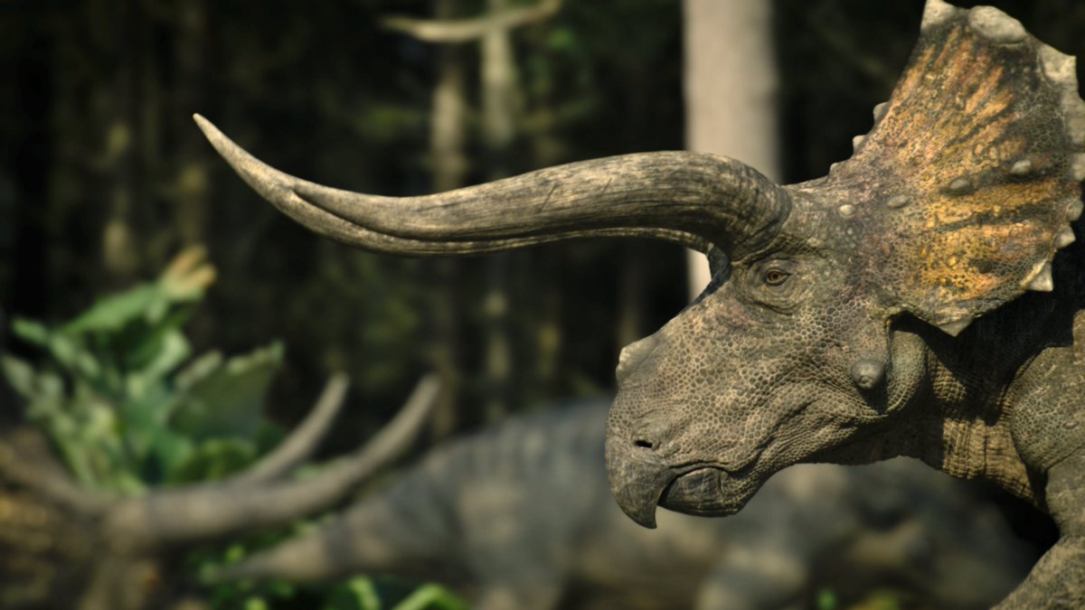 Palaeoncryptozoologist Briton tweet media