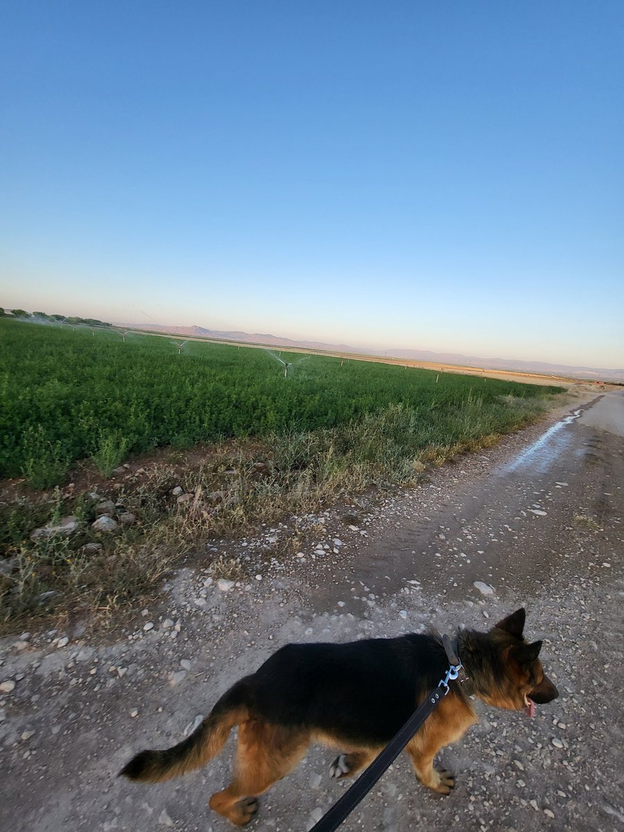 Misler Gibi Yürüyüşümüzü Yaptık 🌻☕️