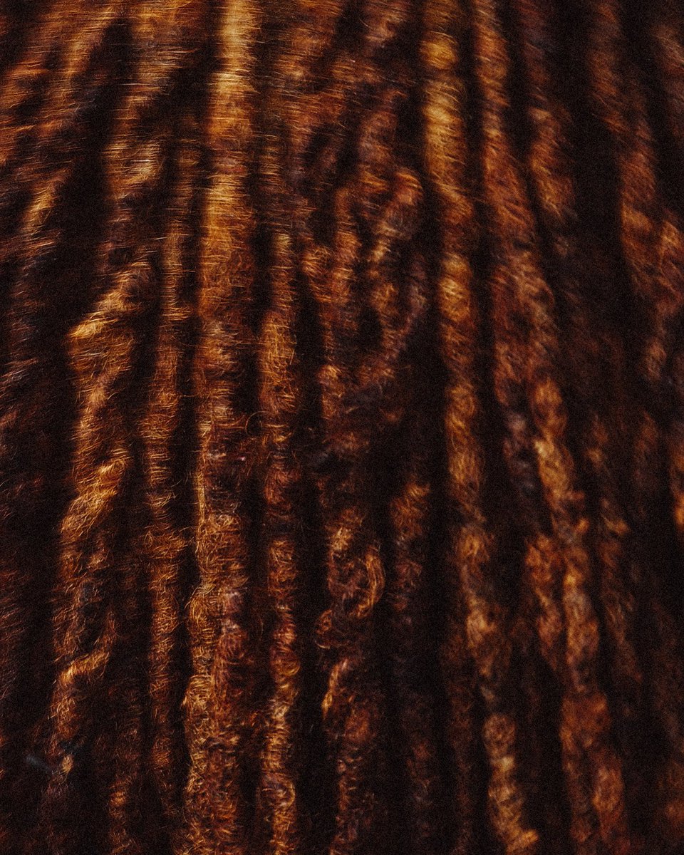 Maxime Lp tweet media