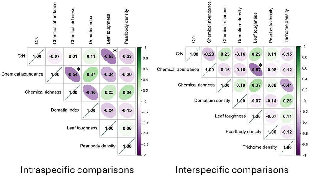 Evolutionary trajectories of multiple defense traits across phylogenetic and geographic scales in Vitis vist.ly/3n7u6j3 #ChemicalDefense #DirectDefense #IndirectDefense