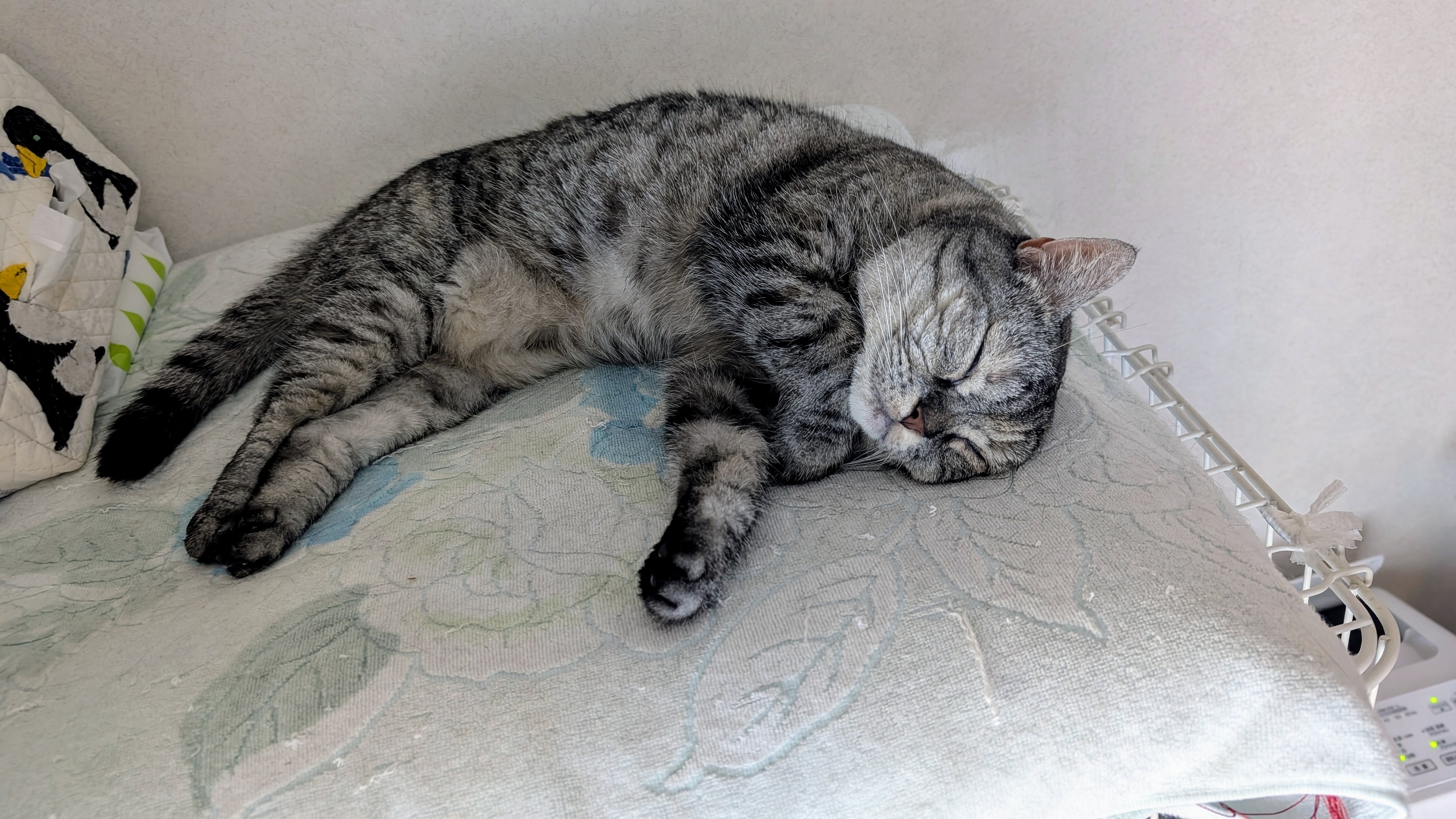 ねこですよろしくおねがいします ぬいぐるみキーホルダー - メルカリ