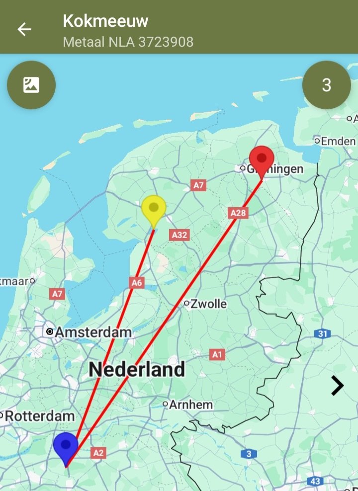 Klaas van Dijk tweet media