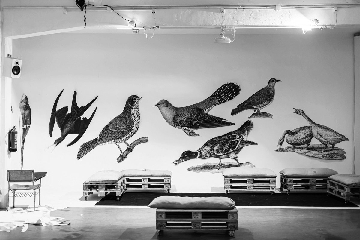 🚨 Nuevo proyecto de @EcosistemaISO
"Aves en extinción" – Instalación artística en Carabanchel 🐦
👉 7 obras
👉 7 calles
👉 Investigación + comunidad
👉 Arte que transforma

📸 Juan Carlos Quindós de la Fuente, fotógrafo

#arteurbano #carabanchel #aves #artepublico #ecosistemaISO
