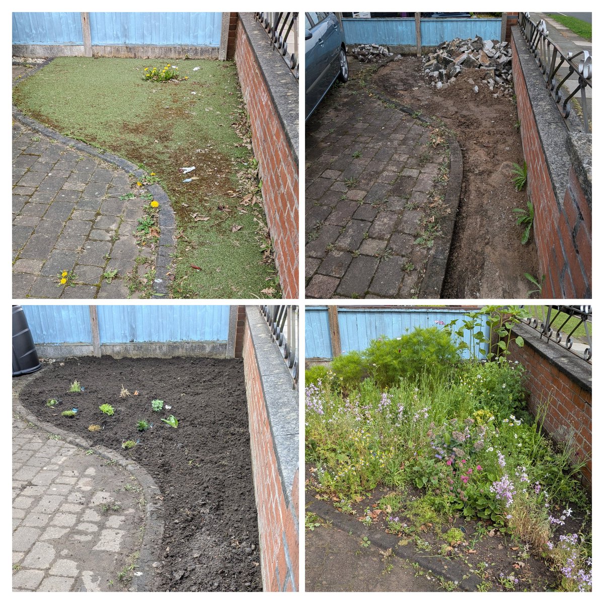 Adam Price tweet media